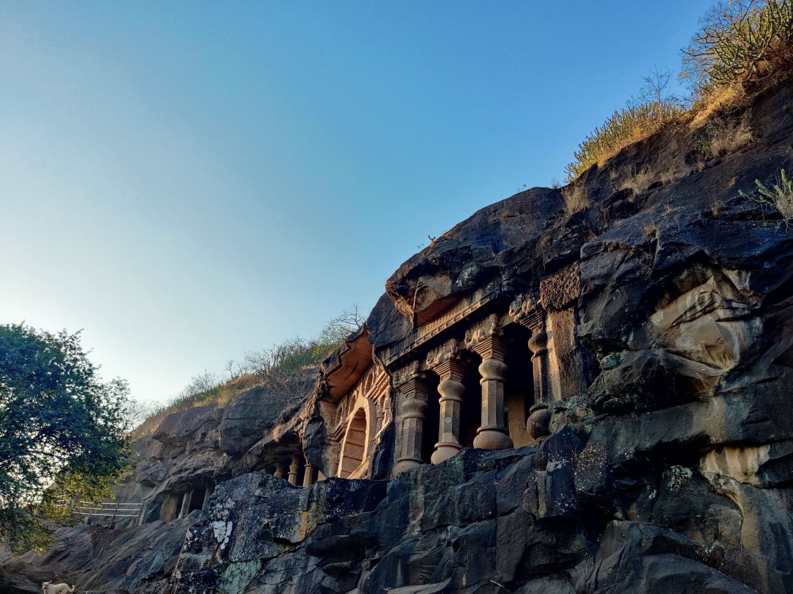 Affordable Trip To Nashik With 10 seater Force Urbania