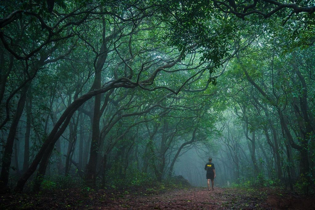Force Urbania On Rent Pune To Matheran