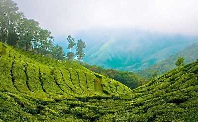 Flexible Travel Plans for Urbania on Rent Mumbai To Kerala