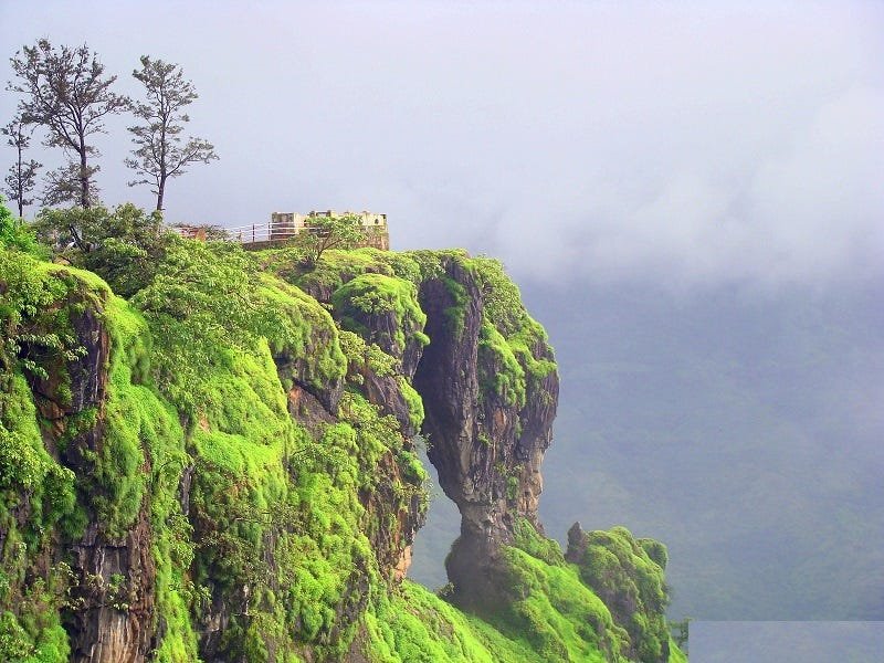 Available Force Urbania on Rent in Pune to Mahabaleswar Trip