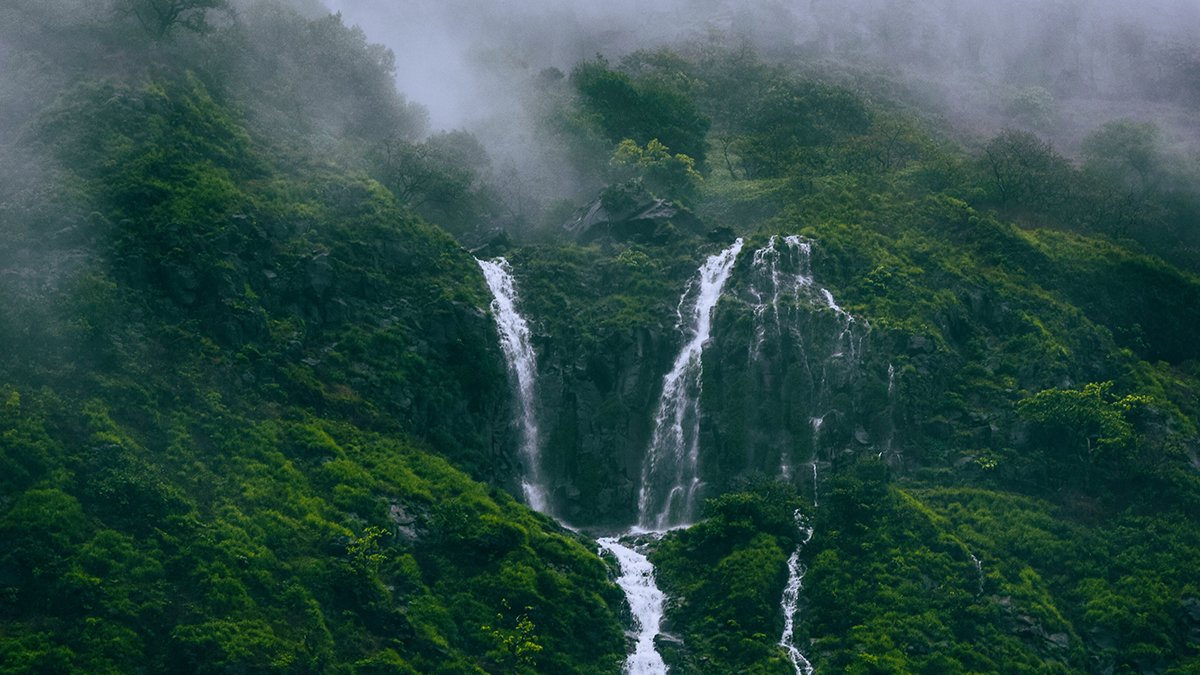 Book Your Tamhini Ghat Trip With Force Urbania